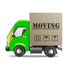 student removal to Ireland